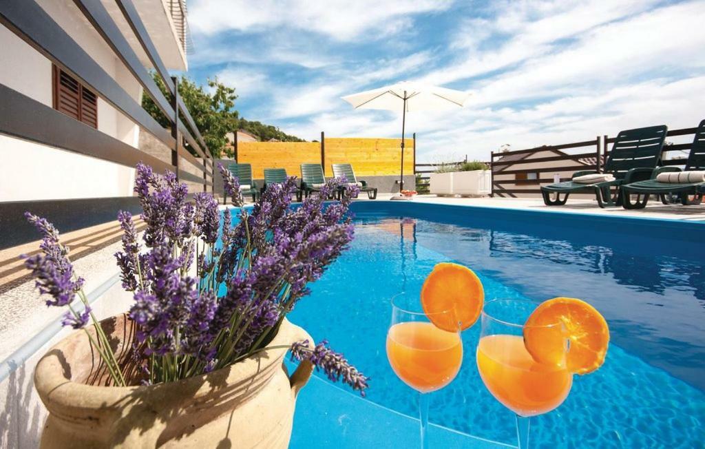 Apartman Zita شيبينيك المظهر الخارجي الصورة