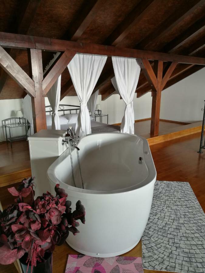 Apartman Zita شيبينيك المظهر الخارجي الصورة